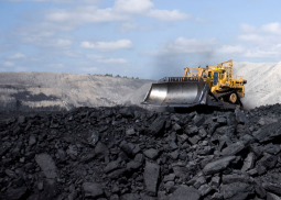 Monthly Coal Report
